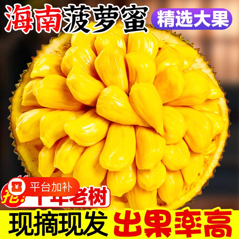 海南菠萝蜜新鲜一整个当季水果黄肉波罗蜜整箱包邮木菠萝热带现摘