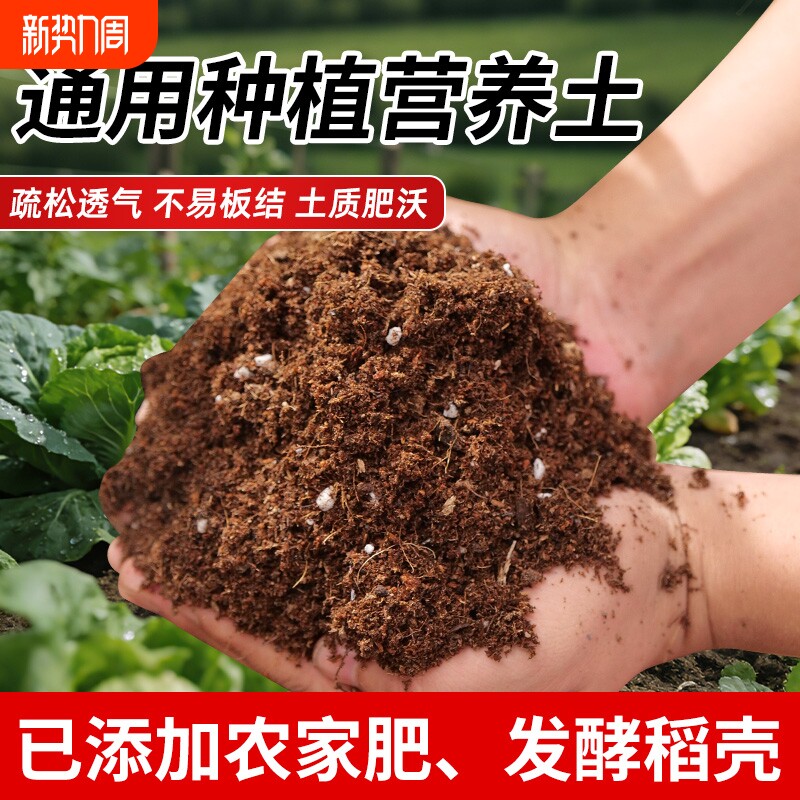 营养土通用多肉植物育苗基质花蓝莓养花泥炭土稻壳发酵种菜土壤