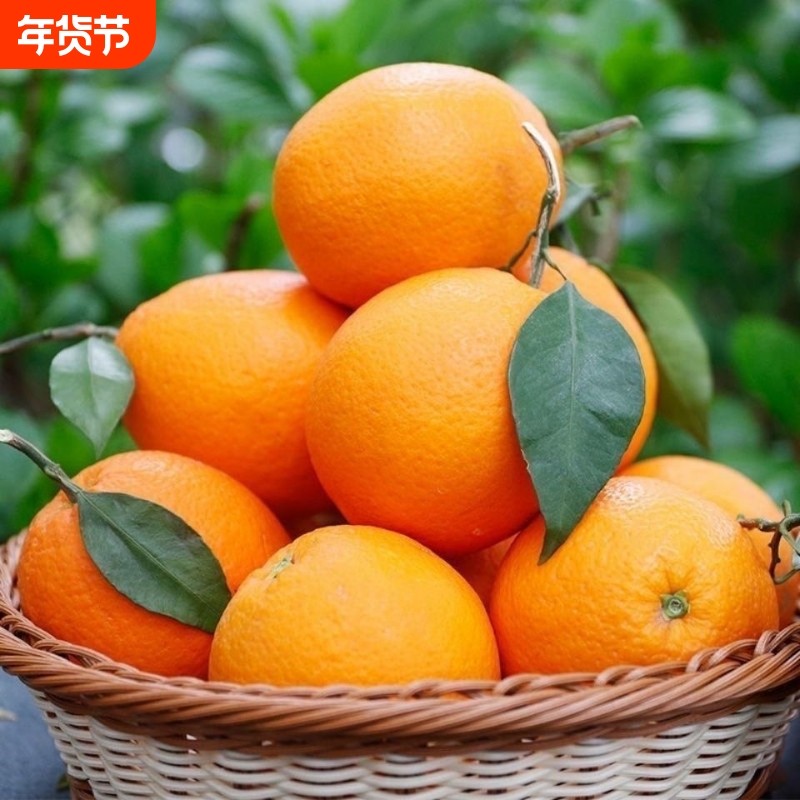新鲜脐橙橙子甜蜜多汁现采直发儿童孕妇应季水果甜橙天然维c,水产肉类/新鲜蔬果/熟食,橙,淘宝优惠券,粉丝福利购,淘宝优惠卷