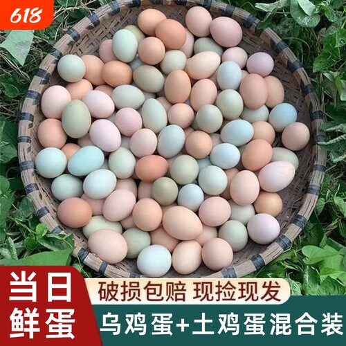 新鲜混合鸡蛋新鲜乌鸡蛋草鸡蛋谷物鸡蛋笨鸡蛋绿壳鸡蛋