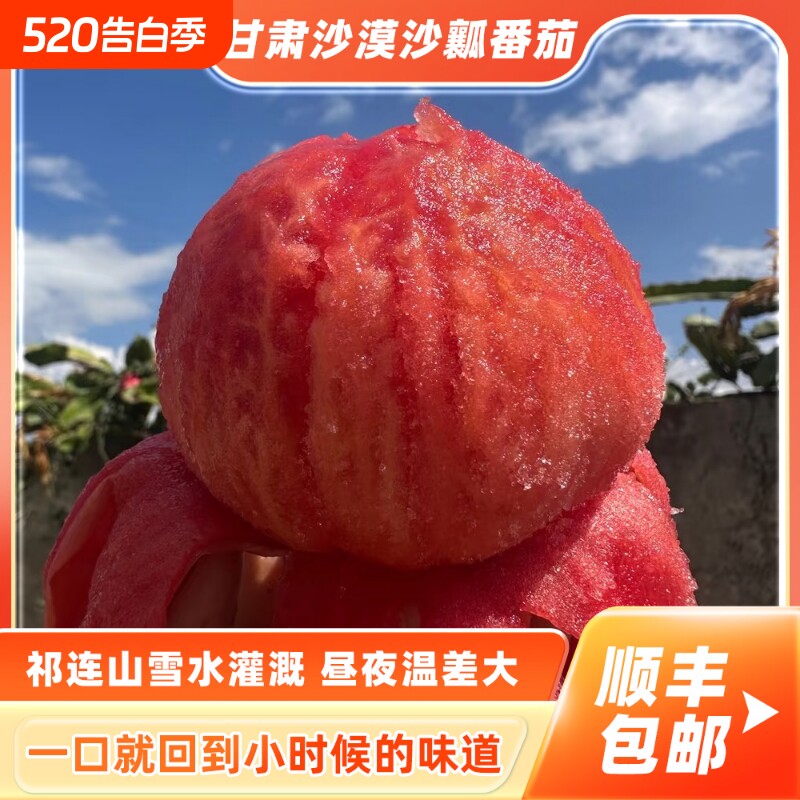 甘肃沙漠沙瓤西红柿现摘现发甘肃原产地直发新鲜番茄5斤当季新鲜