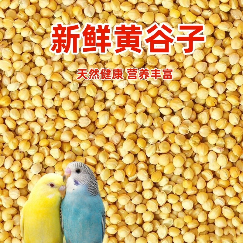 新黄谷子带壳小米鸟粮鸡饲料鸟食图片