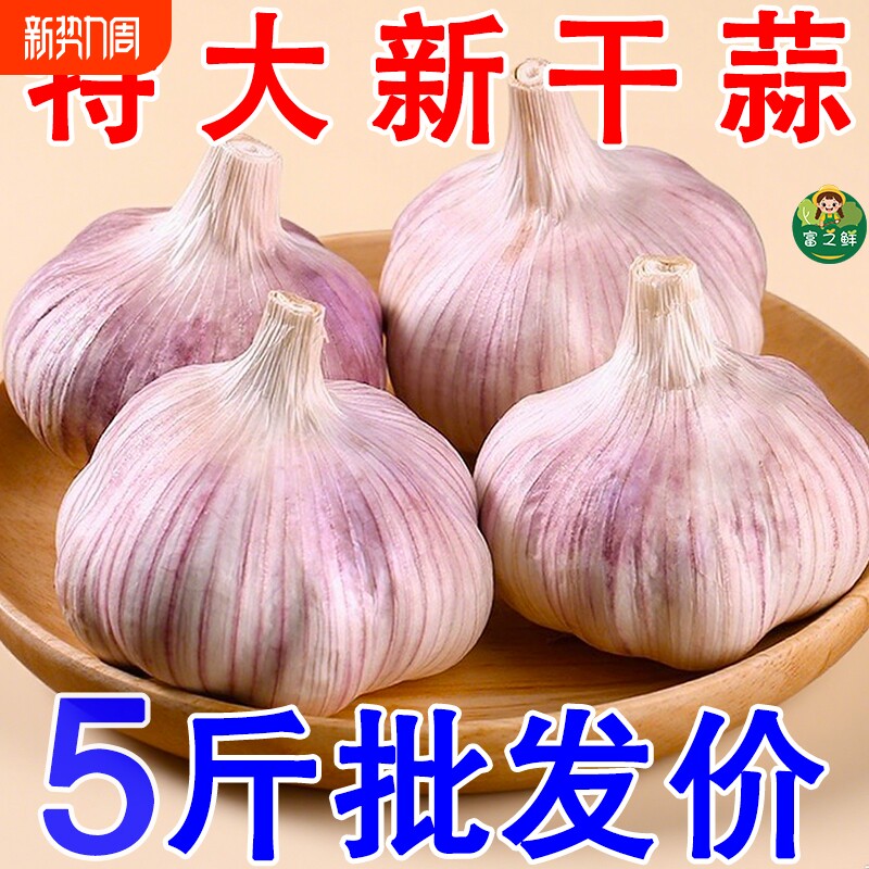 山东大蒜种子头干蒜3斤紫皮种籽批发新鲜蒜瓣蒜农家自提生鲜十足