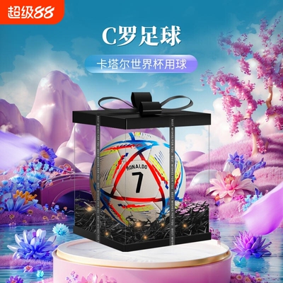 C罗足球限量版中考训练专用5号球成人欧洲杯比赛生日礼物儿童4号