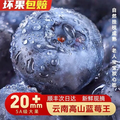 云南蓝莓新鲜水果当季特大果现摘鲜果L25花香高山孕妇怡颗整箱