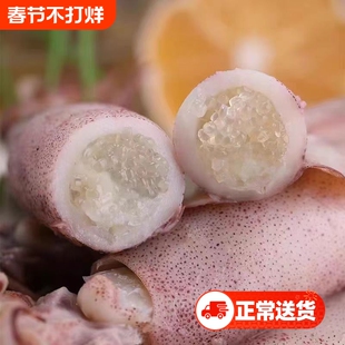 新鲜满籽海兔冷冻籽乌墨鱼仔带籽小鱿鱼乌贼笔管鱼纯籽水产