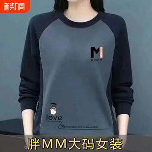 全棉打底衫 拼接长袖 潮F苹果型 圆领卫衣女春秋大码 100%纯棉清仓