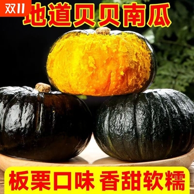 新鲜正宗贝贝南瓜甜糯宝宝辅食