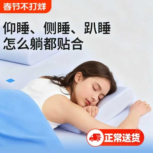记忆棉枕头蓝枕N2蓝枕芯盒子护颈椎助睡眠学生成人酒店礼盒装送礼