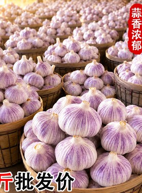 金乡干蒜批发9斤|超8000次加购