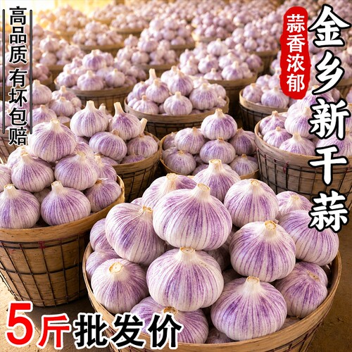 山东金乡干蒜批发|超8000次加购