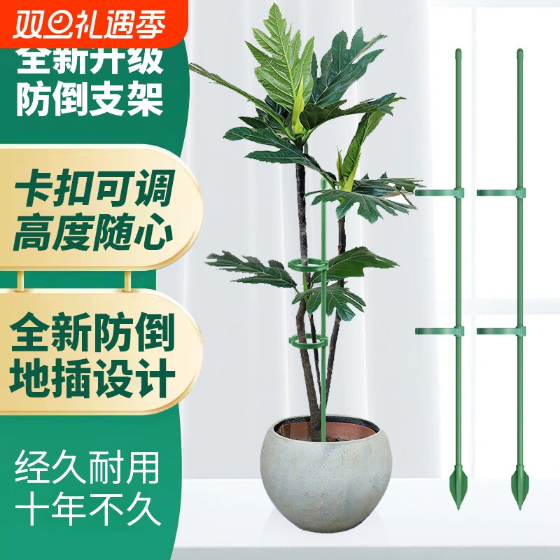 园艺支撑杆花架固定器蝴蝶兰花支架固定花神器防倒花杆爬藤金钱树