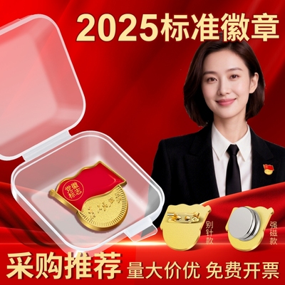 2025标准款胸针磁吸党徽