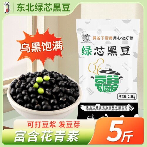 东北黑皮绿心黑豆打豆浆