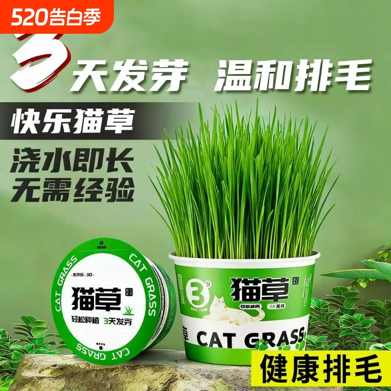 猫草盆栽猫咪罐头水培无土去毛球零食泡面猫零食化毛球植物种植