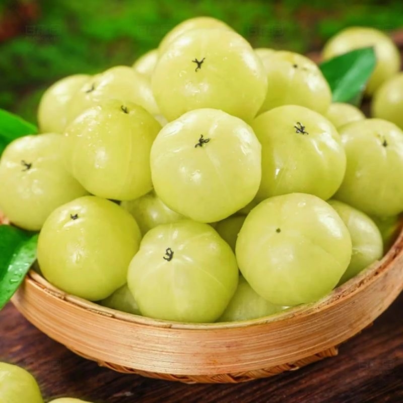 广东潮州高山油柑新鲜原味甜种油柑余甘孕妇水果当季水果