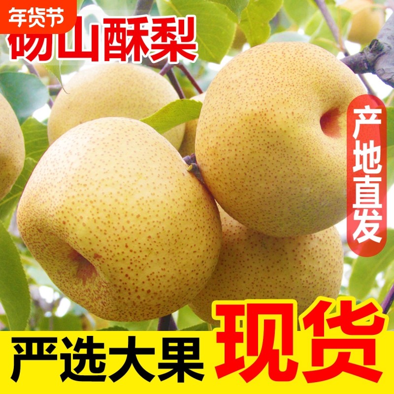 梨子正宗砀山梨酥梨当季水果新鲜现摘安徽皇翠冠整箱青梨香梨雪梨,水产肉类/新鲜蔬果/熟食,梨,淘宝优惠券,粉丝福利购,淘宝优惠卷