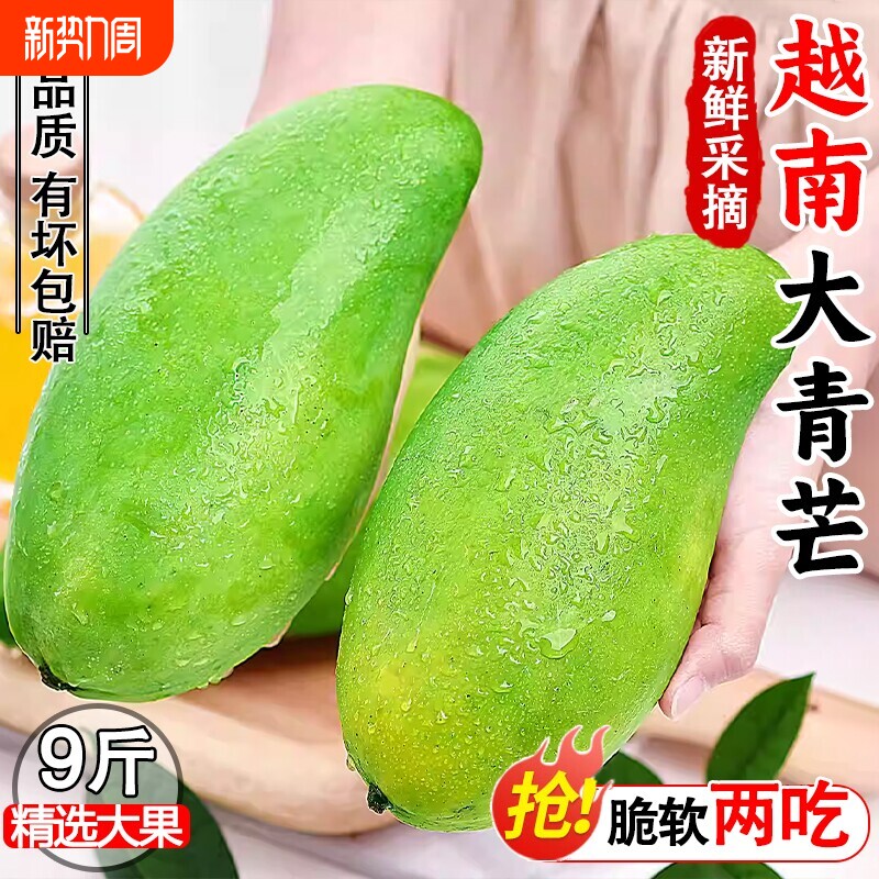 新鲜大青芒现摘当季水果整箱正宗青皮芒果金煌芒一级大果精选