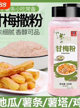 甘梅粉鸡排烧烤地瓜薯条专用撒粉
