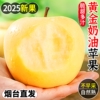 山东烟台黄金奶油富士苹果6颗
