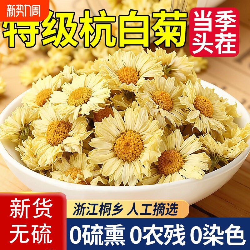 菊花茶杭白菊500g花桐乡特级正宗杭菊杭州贡菊胎菊正品官方旗舰店