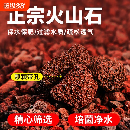 火山石多肉兰花专用|千人加购