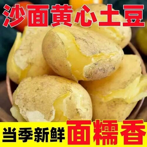 贵州特产黄心洋芋本地土豆