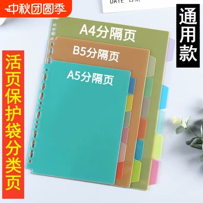 色装分页纸A4活页本通用型30孔4孔11孔索引页PP塑料分隔页B5分隔