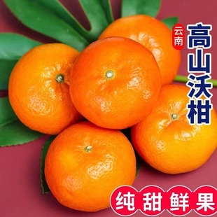 现摘沃柑10斤整箱新鲜甜橘子大果当季水果桔子