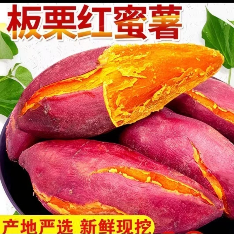 现货红薯新鲜农家地瓜沙地小山芋番薯龙九红薯黄心蜜薯