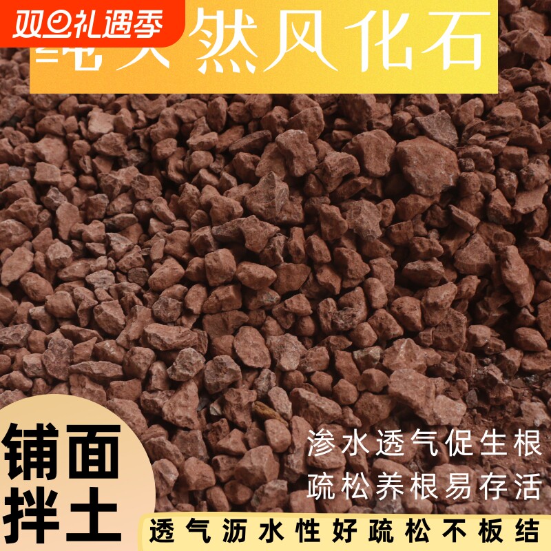 纯天然风化土颗粒风化石土壤盆景生根专用种植小叶铺面疏松
