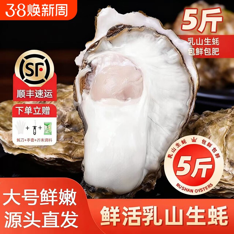 乳山牡蛎5斤 乳山生蚝大号生鲜威海海鲜海蛎子源头直发烧烤食材