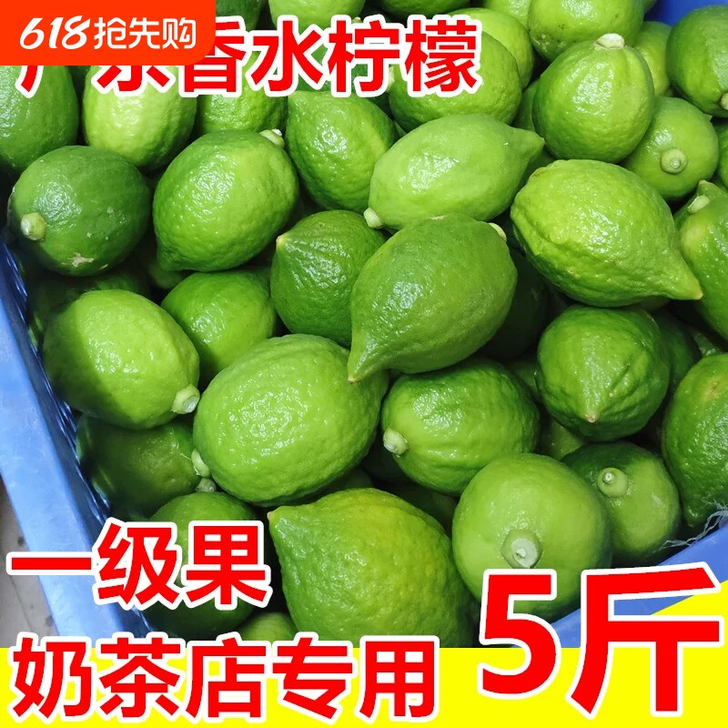 广东香水柠檬新鲜正宗青柠檬无籽大果一级果应当季水果奶茶店专用