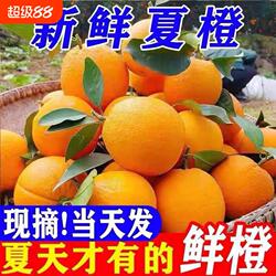 正宗湖北秭归脐橙新鲜橙子水果当季现摘手剥冰糖甜橙大果整箱包邮