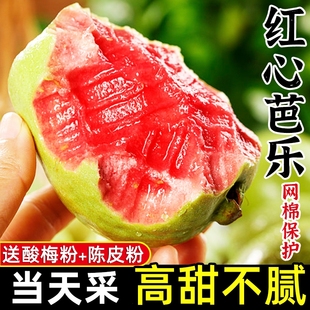 时令脆甜胭脂红巴乐整箱鸡屎果番石榴 应季 红心芭乐果新鲜水果 包邮