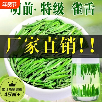 2025新茶贵州明前春雀舌茶叶绿茶高档嫩芽毛尖特级礼盒官方旗舰店