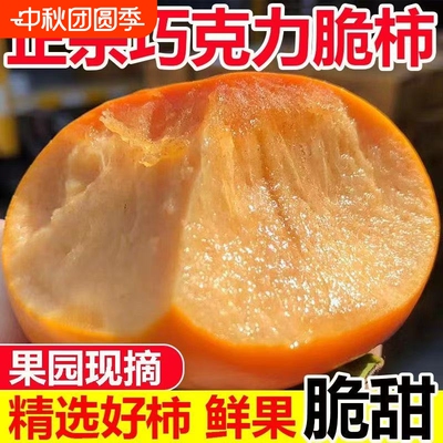正宗阳丰脆柿新鲜应季柿子巧克力冰糖无核当季批发水果天内发货
