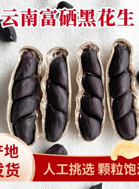 正宗云南富硒黑花生正品黑花生带壳紫衣花生黑衣养胃黑衣花生