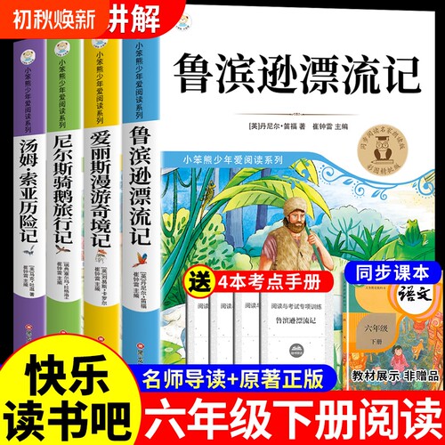 全套4册鲁滨逊漂流记六年级