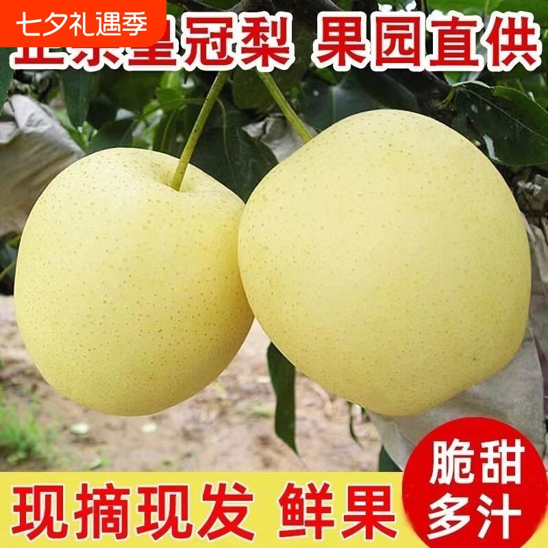 【鲜甜多汁】正宗皇冠梨应季水果