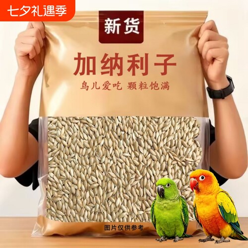 鹦鹉鸟食饲料加纳利子白尖粟