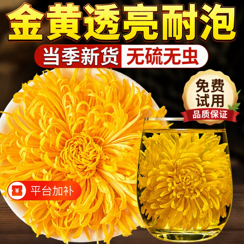 菊花茶金丝皇菊特级大菊花正品去火清热排毒大朵官方旗舰店泡水喝