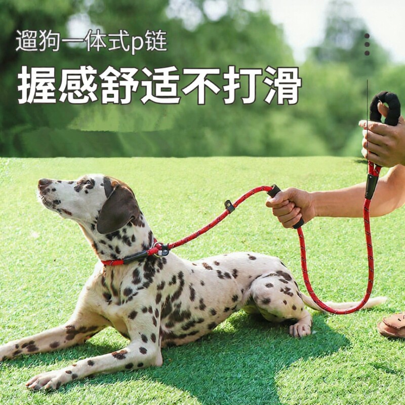 P绳狗狗牵引绳子小中大型犬专业训犬防爆冲金毛萨摩耶宠物遛狗P链