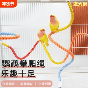 鹦鹉攀爬绳吸盘旋转款玻璃站杆攀爬解闷玩具虎皮玄凤牡丹专用站杆