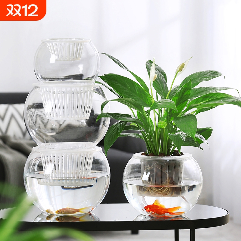 水培植物玻璃花瓶水养绿萝绿植插花器皿客厅桌面装饰摆件特大号