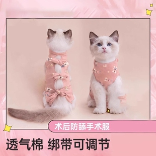 猫咪绝育服母猫手术服猫狗衣服戒奶断奶服公猫宠物纯棉套餐可爱