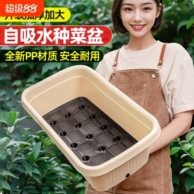 阳台自动吸水种菜盆|千人加购
