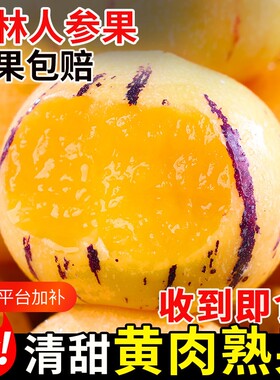 人参果云南石林树上熟新鲜水果当季整箱黄果圆果正品人生果娃娃