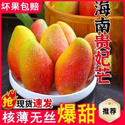 【官方推荐】海南百色贵妃芒果