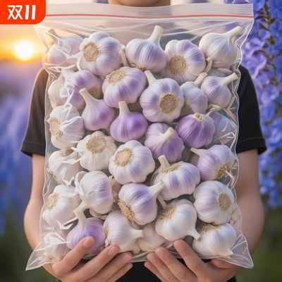 抢购中2025年新干蒜瓣白皮红皮大蒜出蒜苔蒜苗可吃可种批发新鲜